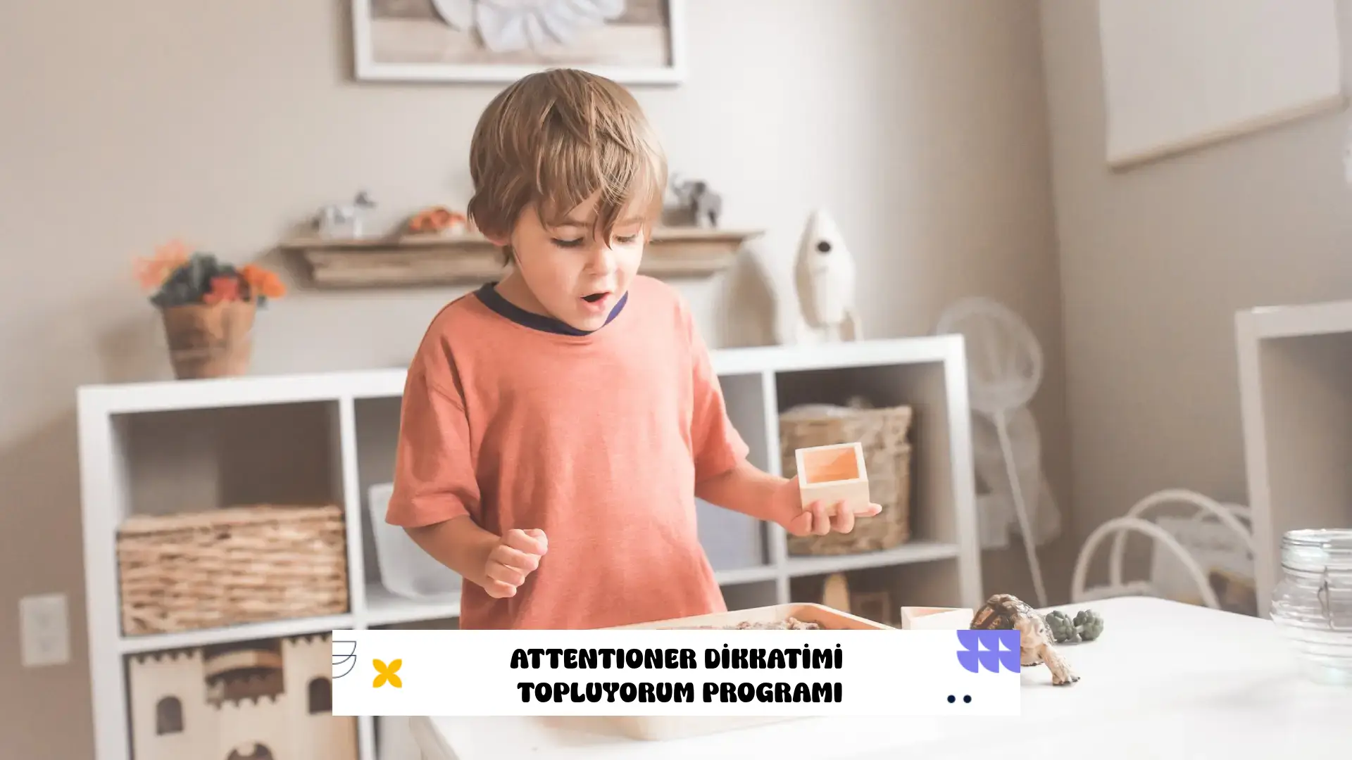 Attentioner Dikkatimi Topluyorum Programı